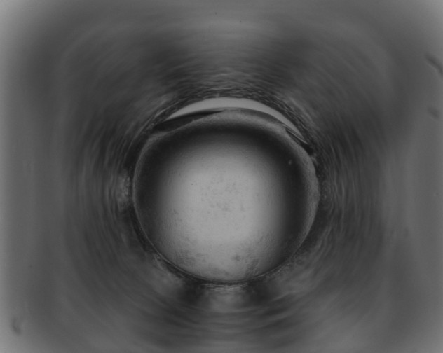 X0000093110081200709261259