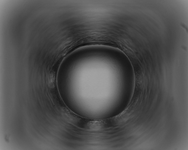 X0000093110082200709261259