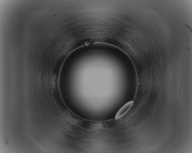 X0000093110083200709261259
