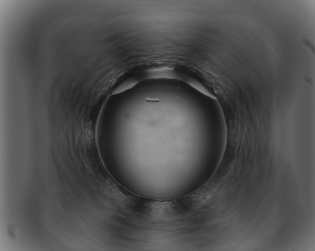X0000093110085200709261259