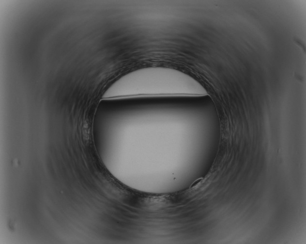 X0000093110086200709261259
