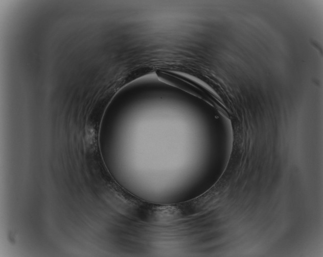 X0000093110087200709261259