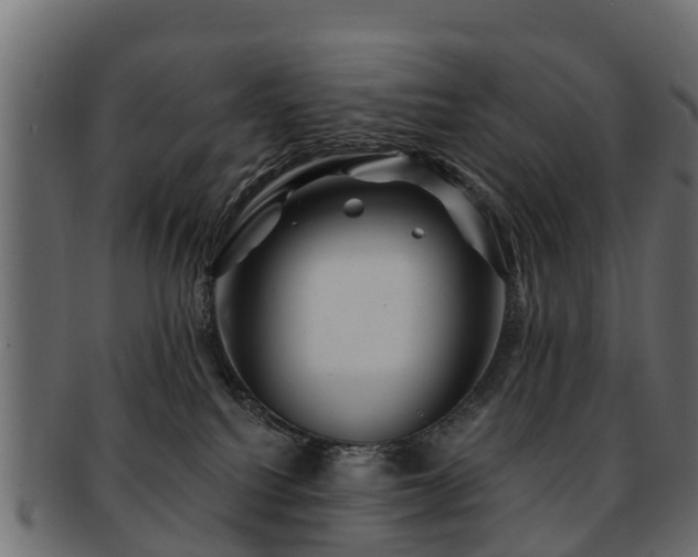 X0000093110088200709261259