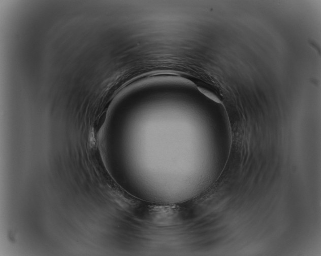 X0000093110089200709261259