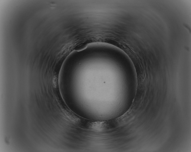 X0000093110090200709261259
