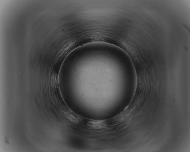 X0000093110093200709261259