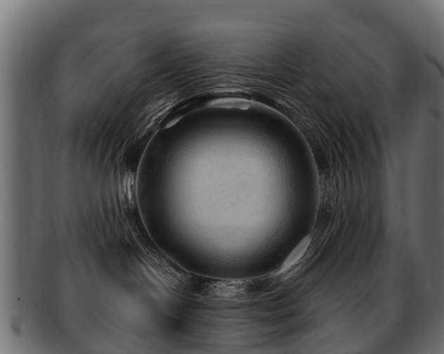 X0000093110094200709261259