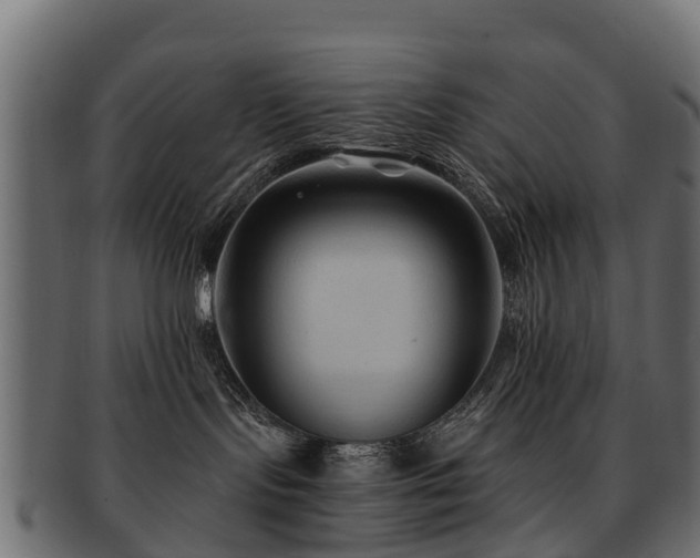 X0000093110095200709261259