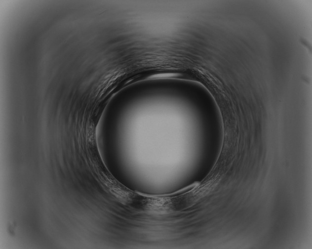 X0000093110096200709261259