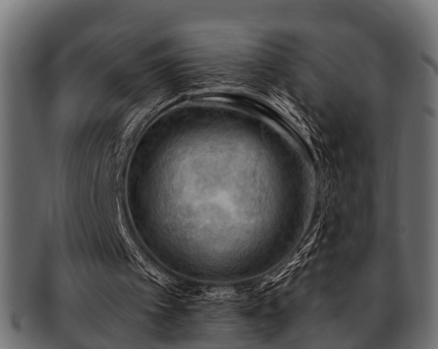 X0000093110097200709261258