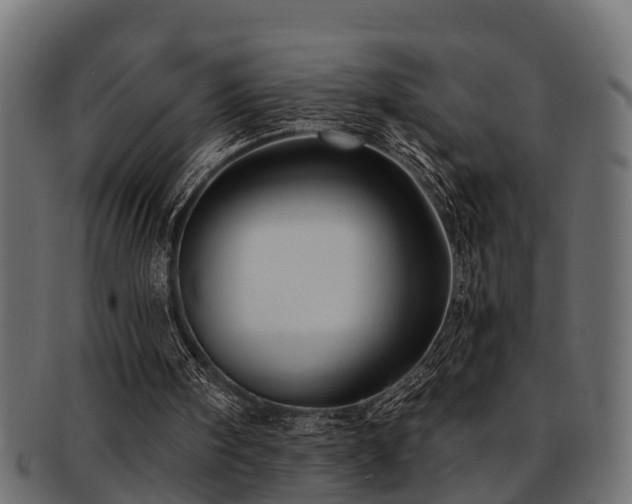 X0000093110098200709261258