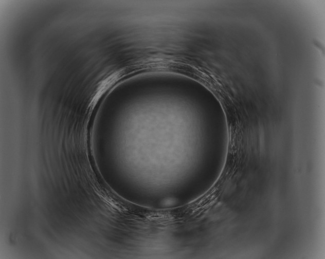 X0000093110099200709261258