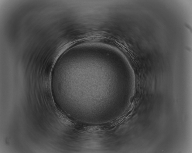 X0000093110100200709261258