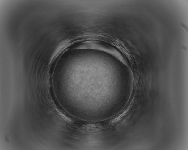 X0000093110101200709261258