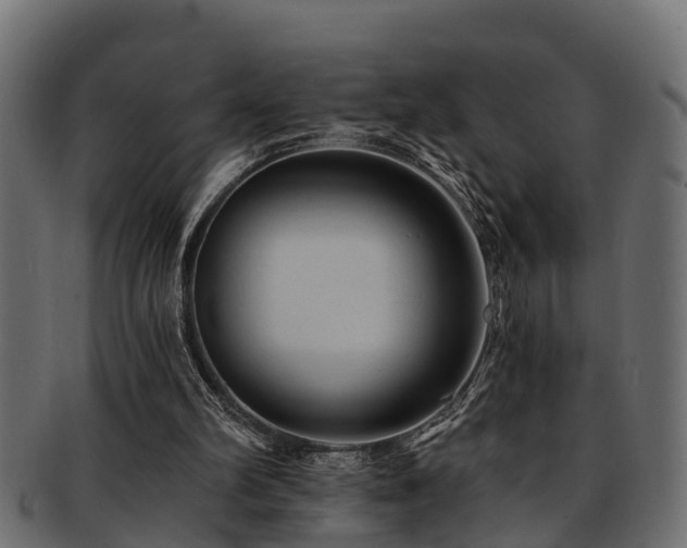 X0000093110102200709261258