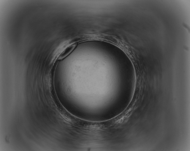 X0000093110103200709261258