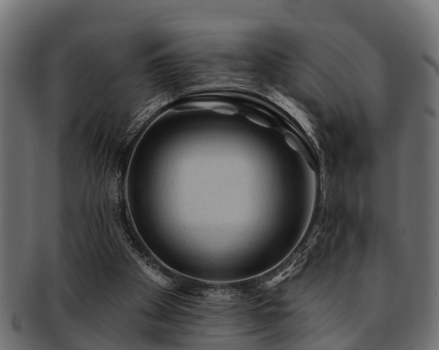 X0000093110105200709261258