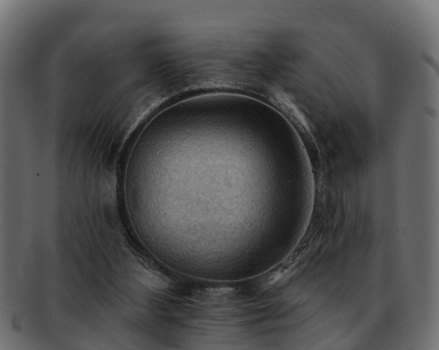 X0000093110108200709261258