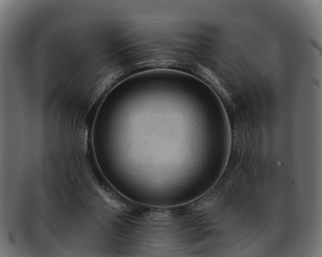 X0000093110110200709261258