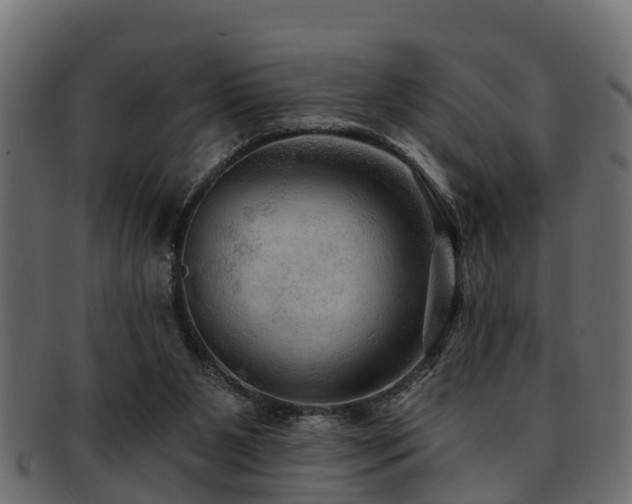 X0000093110111200709261258