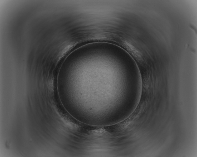 X0000093110112200709261258