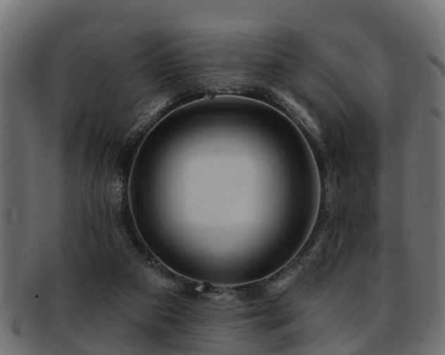 X0000093110113200709261258