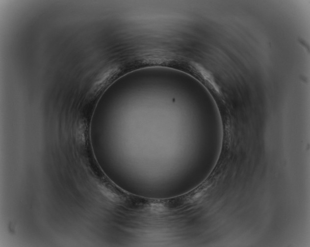 X0000093110114200709261258