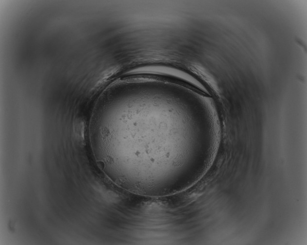 X0000093110115200709261258
