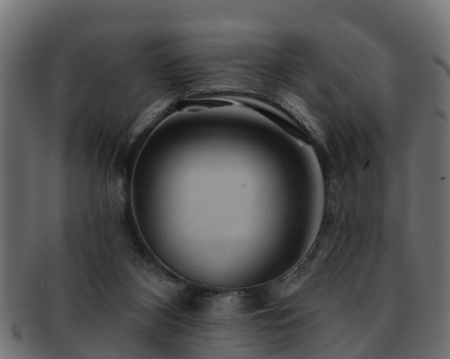 X0000093110116200709261258