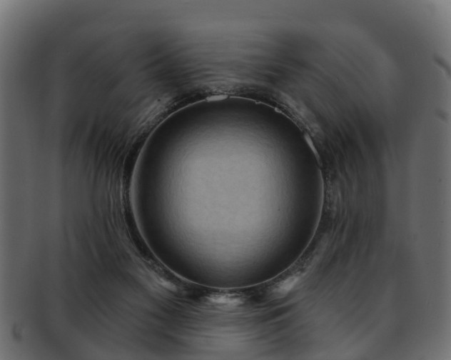X0000093110117200709261258