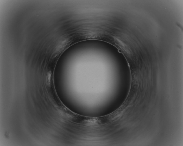 X0000093110118200709261258