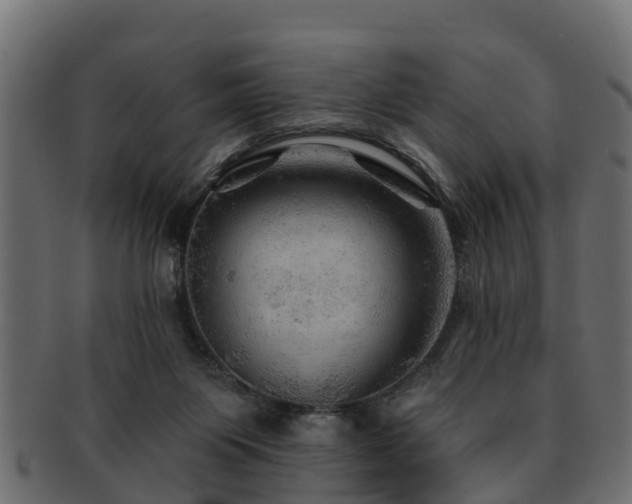 X0000093110119200709261258