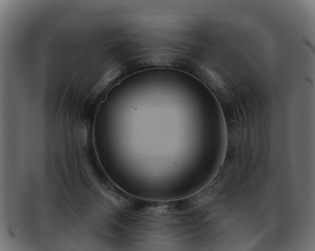 X0000093110120200709261258