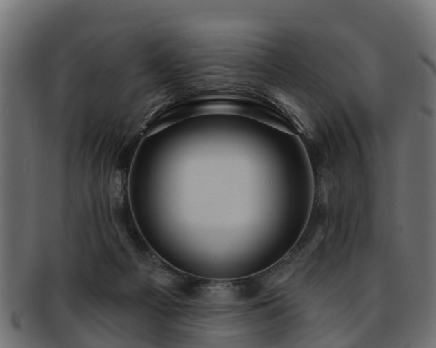 X0000093110121200709261258