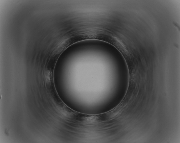 X0000093110122200709261258