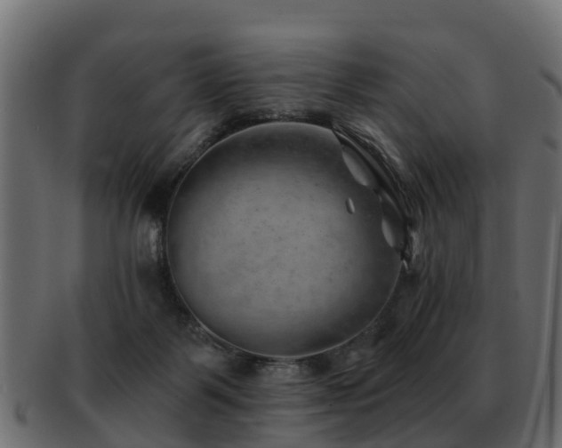 X0000093110123200709261258