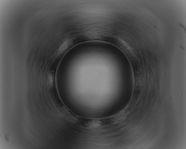 X0000093110124200709261258