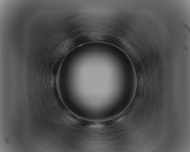 X0000093110125200709261258