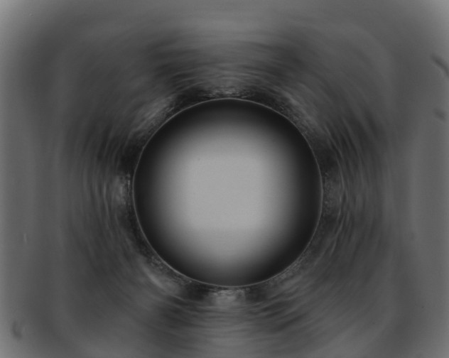 X0000093110126200709261258