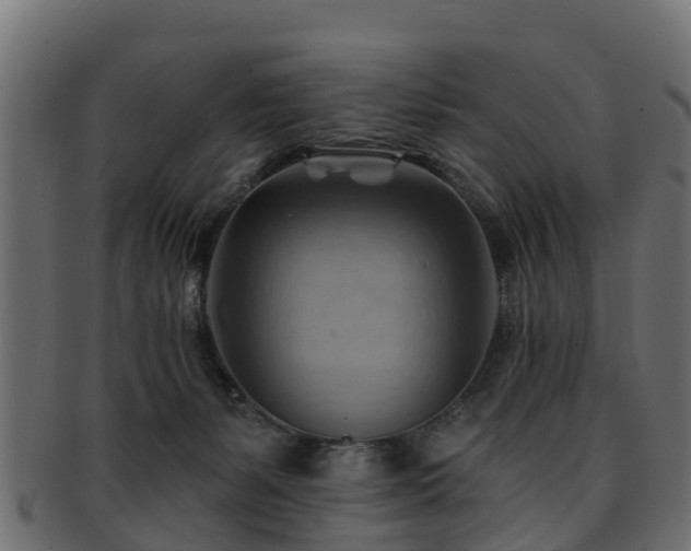 X0000093110127200709261258