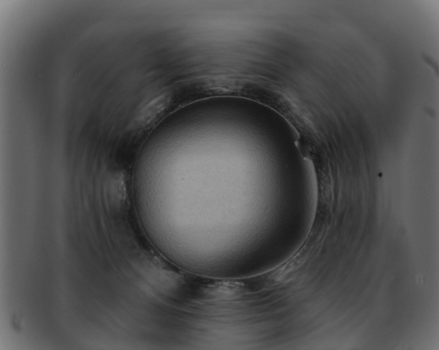 X0000093110128200709261258