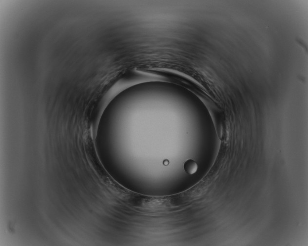 X0000093110129200709261258