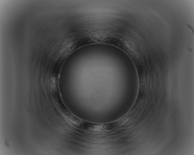 X0000093110130200709261258