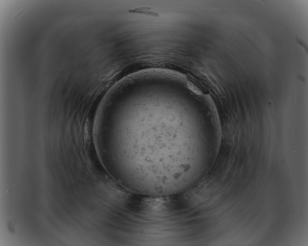 X0000093110131200709261258