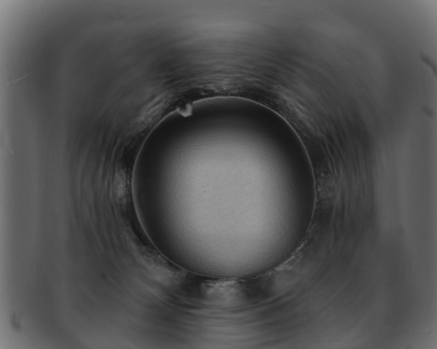 X0000093110132200709261258