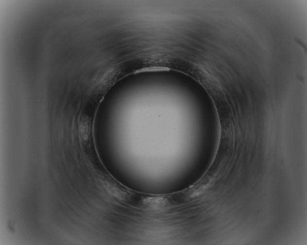 X0000093110133200709261258