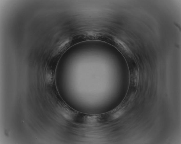 X0000093110134200709261258
