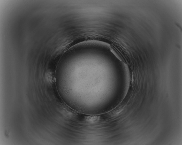 X0000093110135200709261258