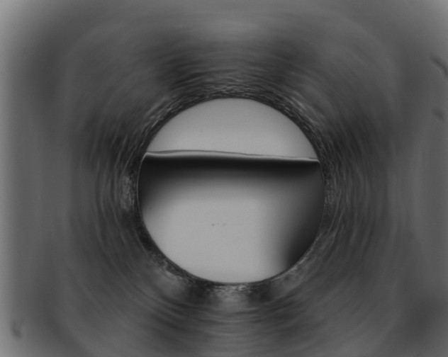 X0000093110136200709261258
