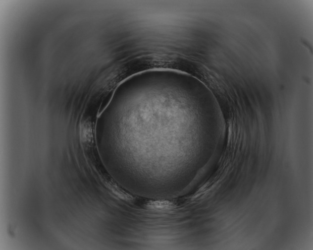 X0000093110137200709261258